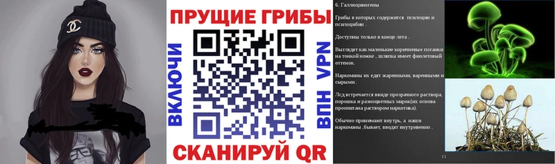 блэк спрут ссылки  Чернушка  Псилоцибиновые грибы мухоморы 