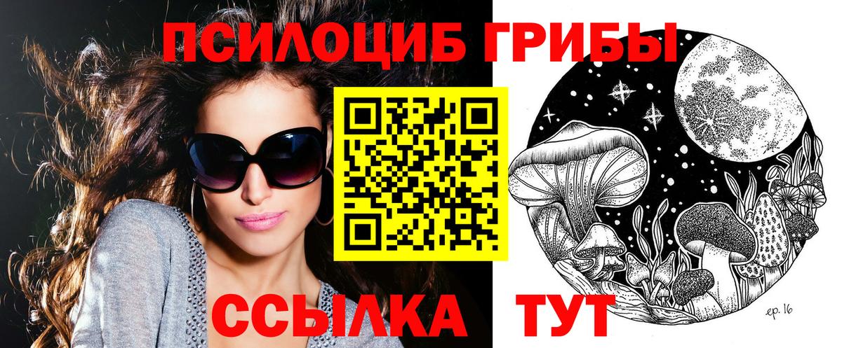 Галлюциногенные грибы Psilocybe  дарнет шоп  Псилоцибиновые грибы мицелий  Чернушка  Вход с VPN 